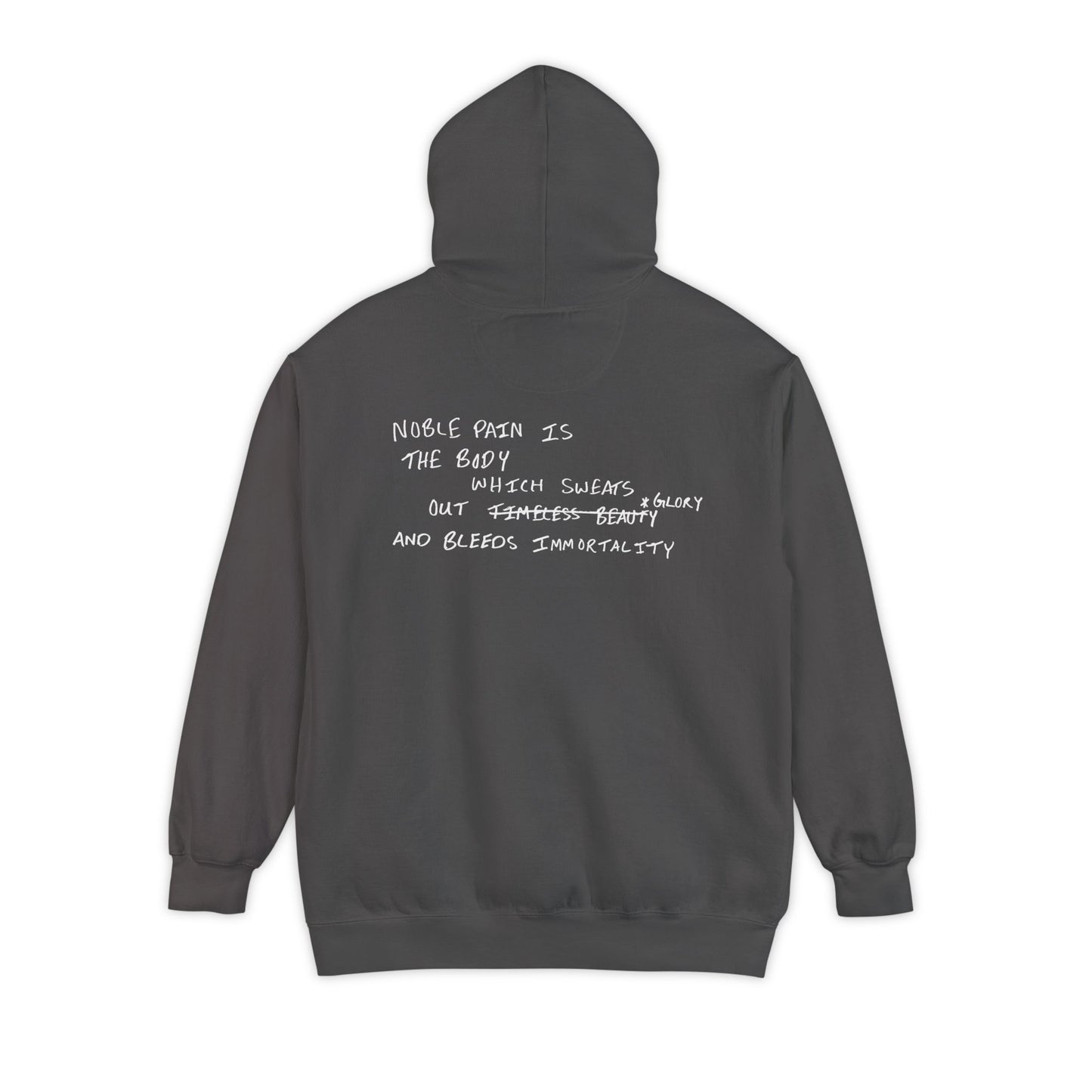 Noble Pain Is... (Hoodie)